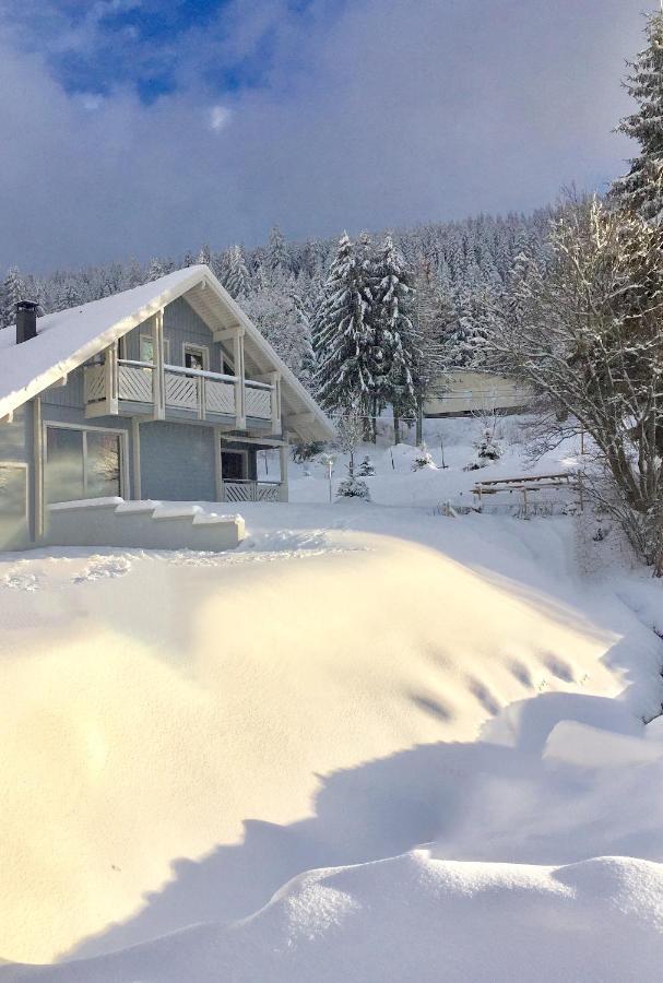 Chalet Le Flocon Bleu - Mauselaine avec vue sur le Lac de Gérardmer Extérieur photo