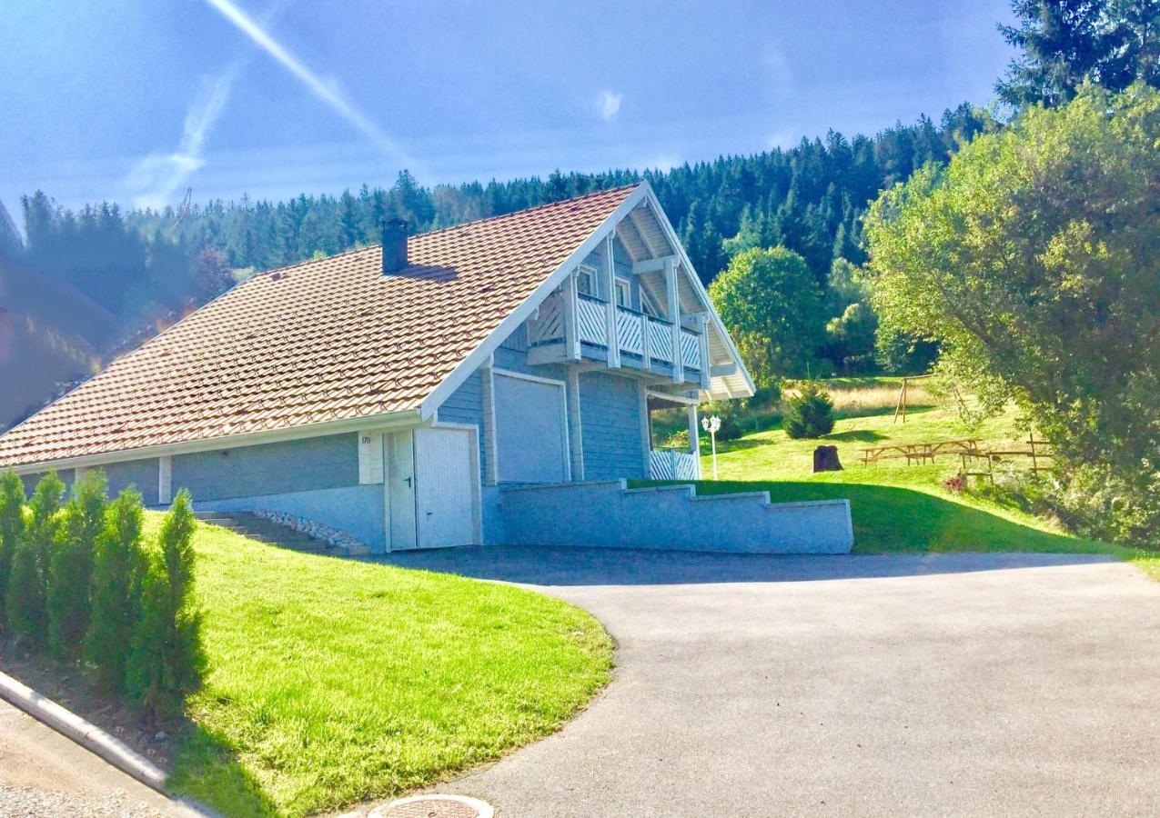 Chalet Le Flocon Bleu - Mauselaine avec vue sur le Lac de Gérardmer Extérieur photo