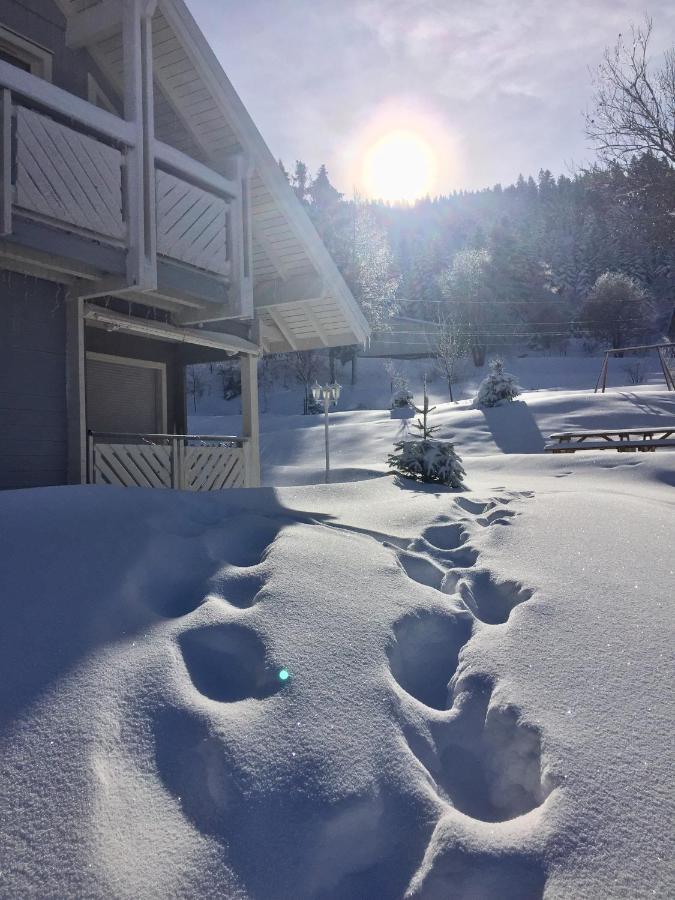 Chalet Le Flocon Bleu - Mauselaine avec vue sur le Lac de Gérardmer Extérieur photo