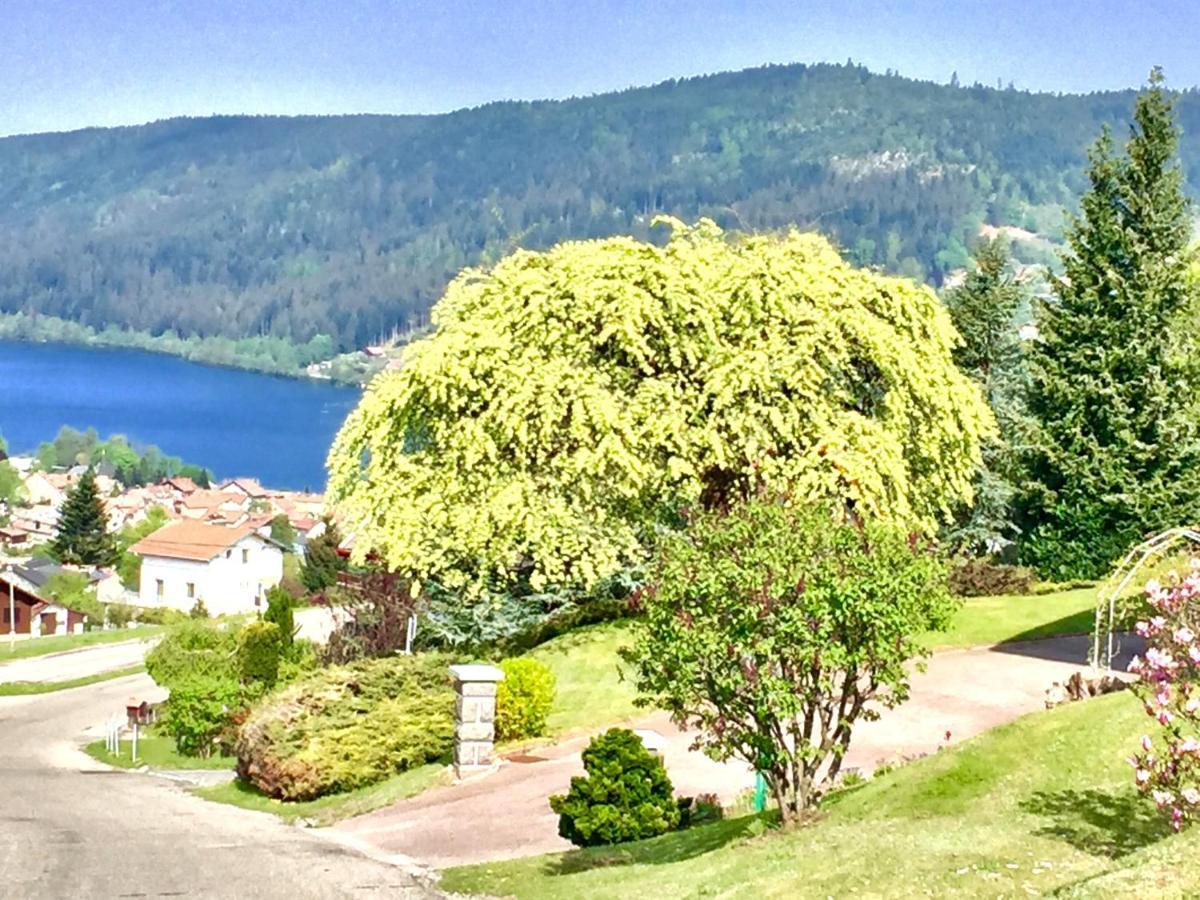 Chalet Le Flocon Bleu - Mauselaine avec vue sur le Lac de Gérardmer Extérieur photo